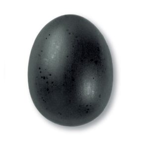 Terracolor 7872 Eminenz