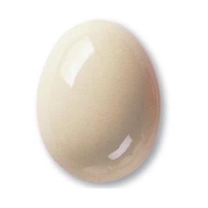 Terracolor 7900 Transparent
