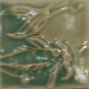 F034 Seaweed