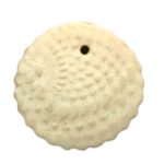 M1079A