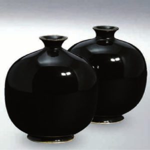 Terracolor 8254 Schwarz glanzend
